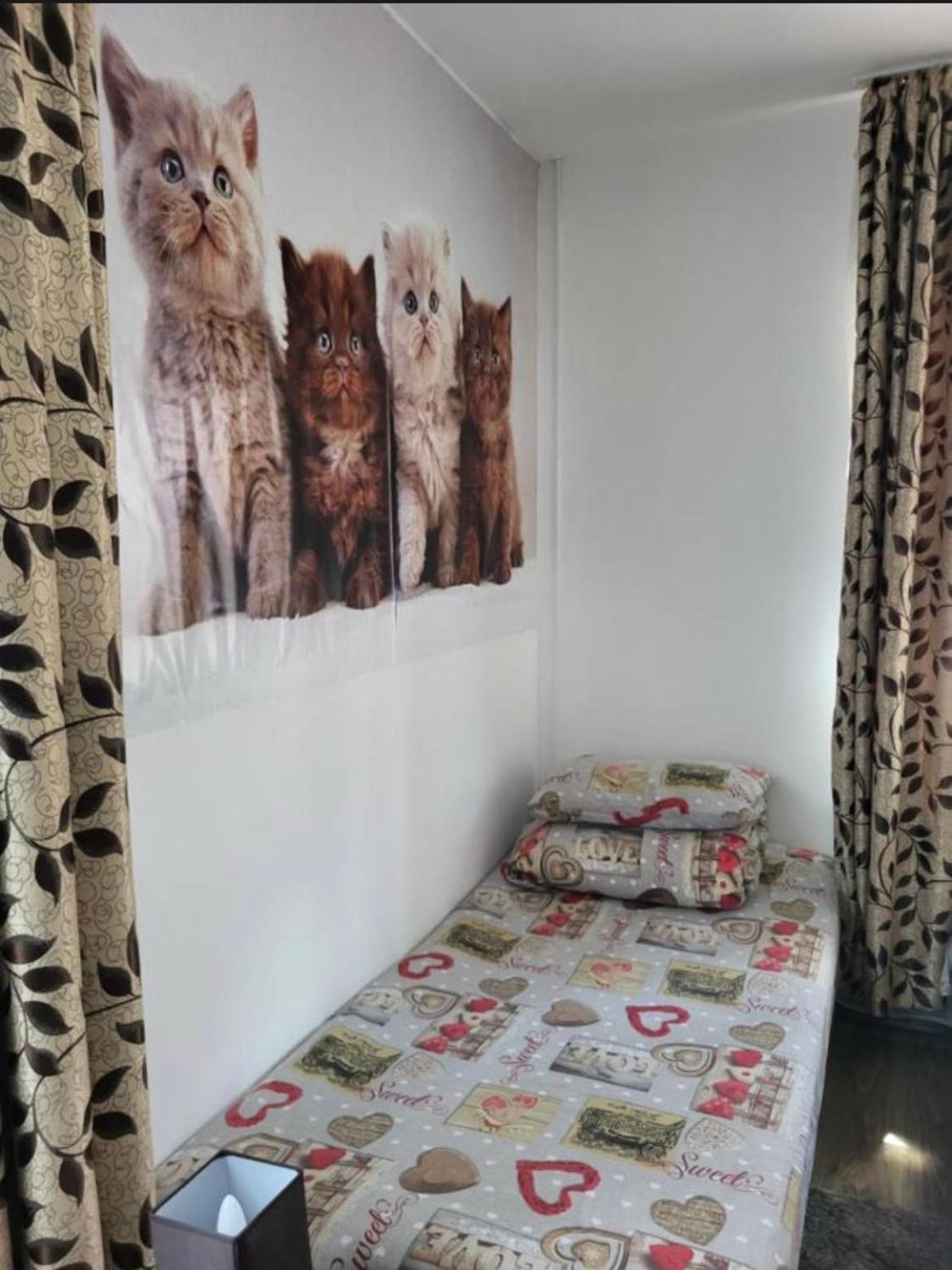 Appartamento Casa Raraului Câmpulung Moldovenesc Esterno foto