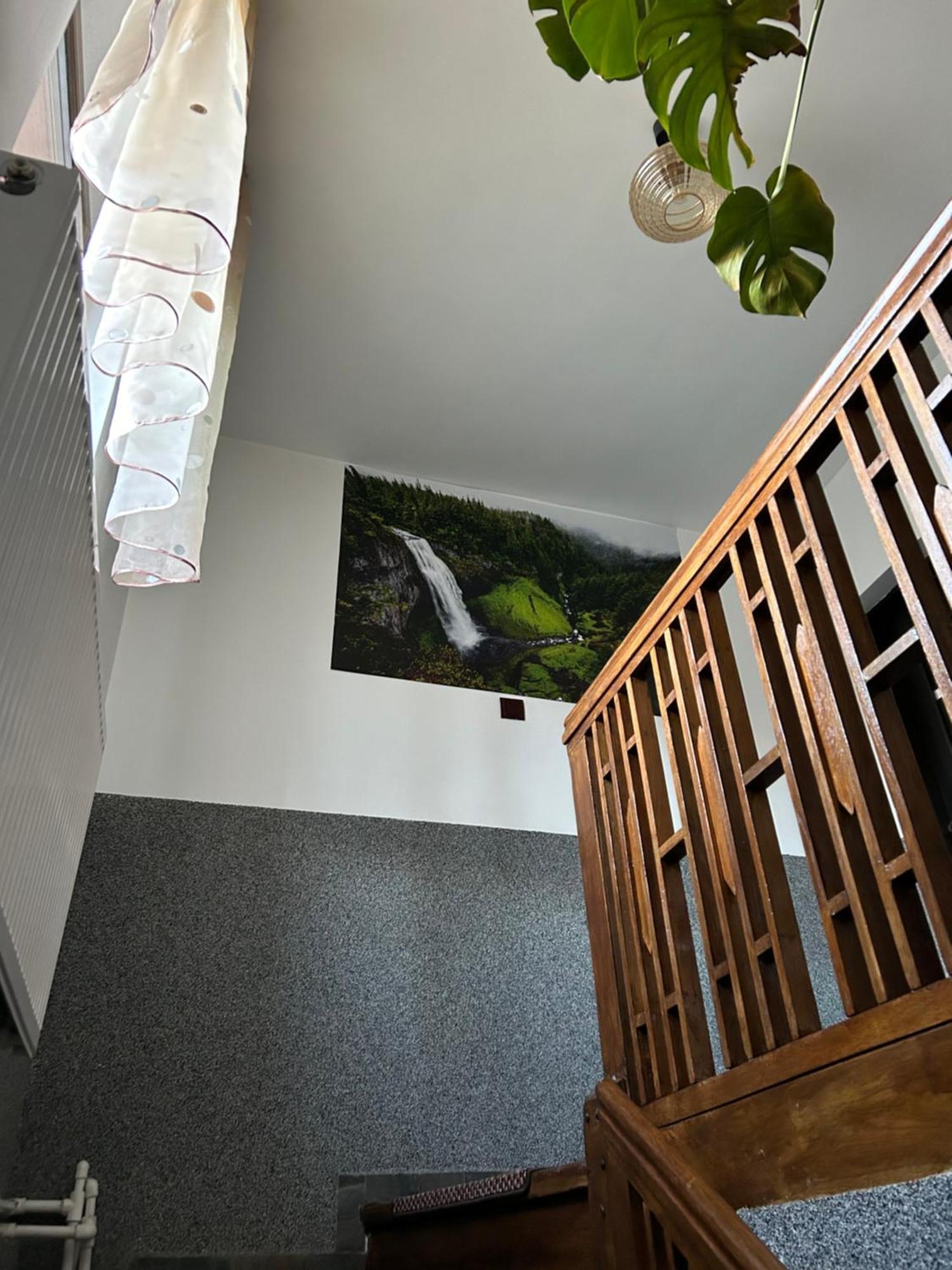 Appartamento Casa Raraului Câmpulung Moldovenesc Esterno foto